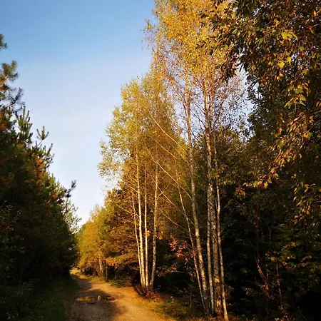 Pod Mazurskim Niebem Prázdninový dům *