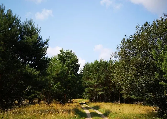 Pod Mazurskim Niebem Holiday home